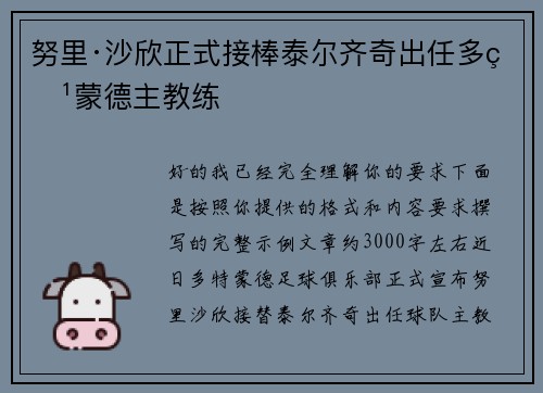 努里·沙欣正式接棒泰尔齐奇出任多特蒙德主教练